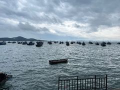 -海源公园