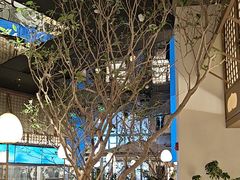 -桂满陇·海市蜃楼·黑金(国金店)