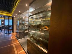 -甄御•海鲜新青岛菜(麦岛店)