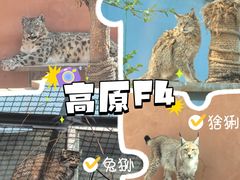-青藏高原野生动物园