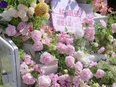 -顾村公园