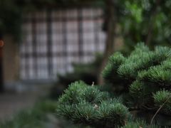-福1015(愚园路店)