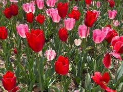 -玄武湖景区-情侣园游乐场