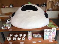 -熊猫邮局(少城店)