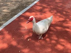 -明海妈妈菜(大连外国语学院店)