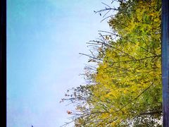 -VOYAGE COFFEE(北锣鼓巷店)