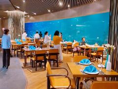-涛·海底餐厅·美人鱼·自助餐·海底隧道(三亚海棠湾洲际度假酒店)