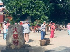 -大槐树寻根祭祖园