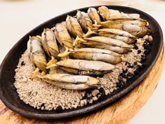 铁板盐焗蛏-莆田餐厅PUTIEN(西安万象天地店)