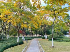 -杭州城北体育公园