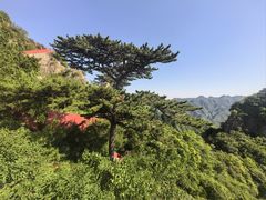-圣莲山风景区