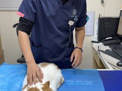 -美联众合爱康动物医院•复杂内科•肿瘤科•牙科•腔镜诊疗中心