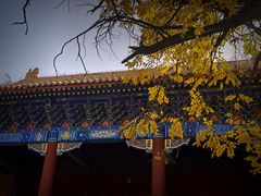 -北京国子监胡同