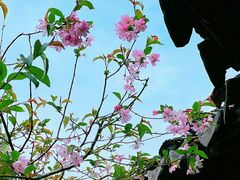 -太平天国历史博物馆(瞻园)