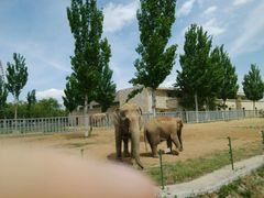 -石家庄市动物园