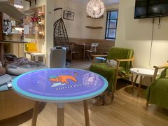 -滚猫咖啡·猫咖·猫友好撸猫(未来城店)