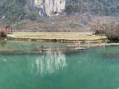 -靖西鹅泉风景区