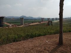 -光明小镇欢乐田园