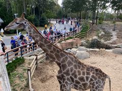 -大连森林动物园