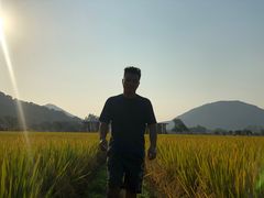 -风云岭森林公园