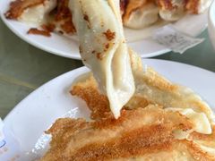 -青岛锅贴(四流中路店)