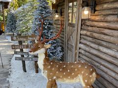 -HERRE·FARM 赫尔露营农场·团建聚会包场