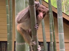-苏州环秀晓筑养生度假村