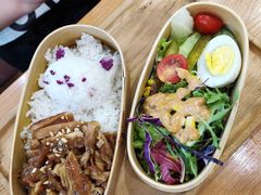 -猫小院猫主题餐厅(三里屯店)
