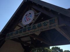 -上海海湾国家森林公园