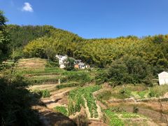 -灵山景区梯田
