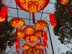 -武汉园博园(武汉自然博物馆)