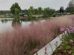 -上海植物园-4号门售票处