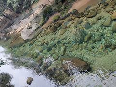 -祁门牯牛降观音堂风景区