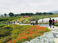 -光明小镇欢乐田园