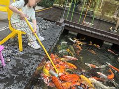 -三亚湾海居铂尔曼度假酒店