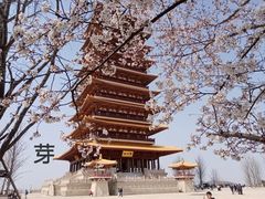 -牛首山文化旅游区