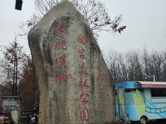 -合肥滨湖国家森林公园