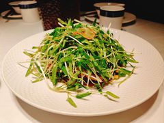 -凤凰湘语(浦东旗舰店)