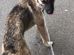 -康乐宝动物医院