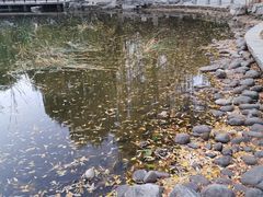 -玲珑塔公园