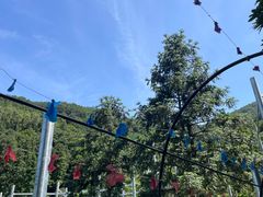 -广东天露山旅游度假区