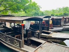 -同里国家湿地公园