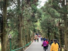 -南岳衡山风景名胜区