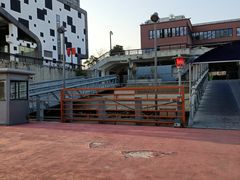 -丹东路渡口(轮渡站)