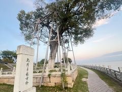 -观潮胜地公园