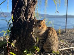 -丽江泸沽湖景区