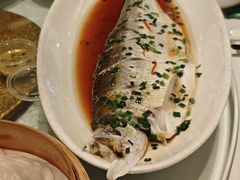 -乾隆美食·本帮菜(黄河路店)
