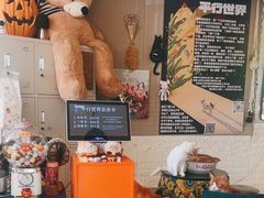 -平行世界·猫咖(首经贸店)