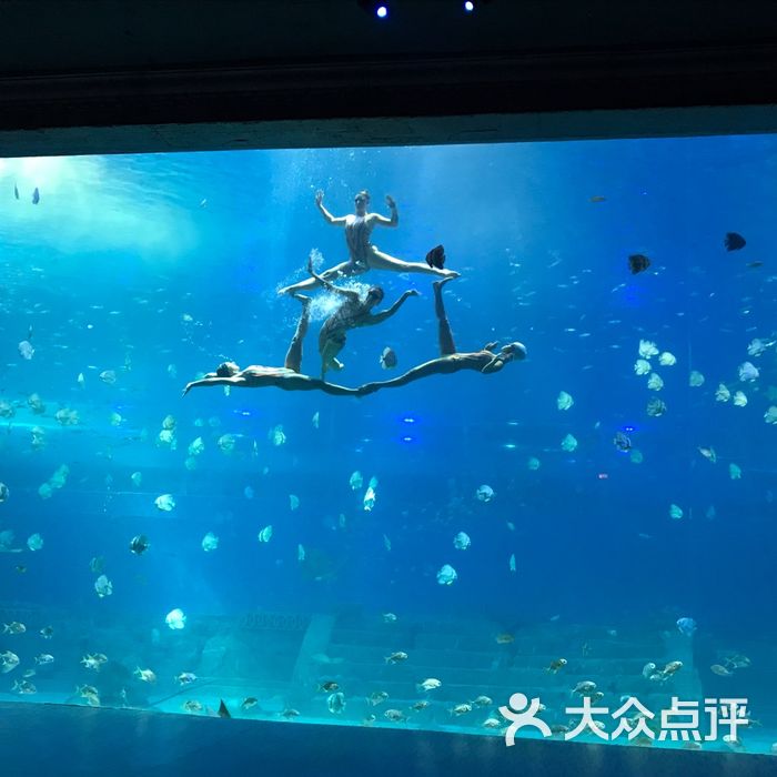 重庆江北海洋馆图片