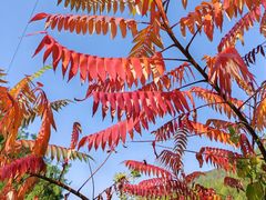 -北京金海湖景区